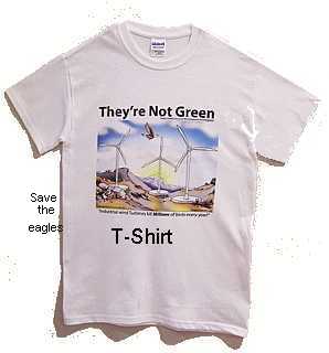 T-Schirt - They are not green