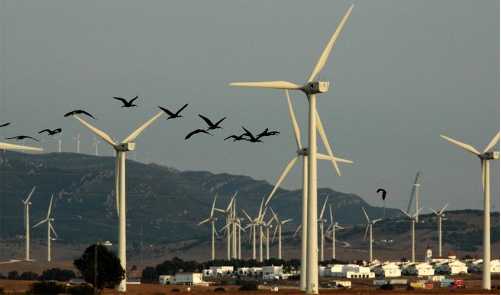 spanish-windfarm