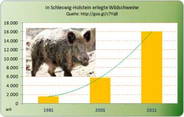 Wildschwein-Sus-scrofa